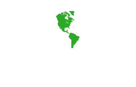 Global Roofing & Construction Inc.